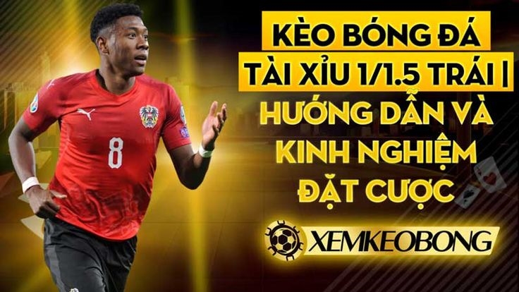 Đội không biết, không đặt cược là lời khuyên từ cao thủ thể thao